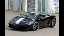 Gallardo von Anderson