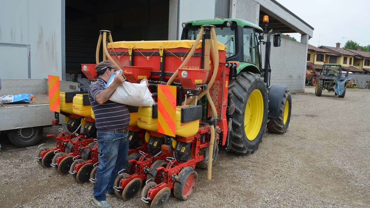 Lavoro domenicale: normale in agricoltura