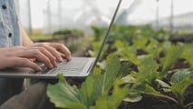 Quando conviene esternalizzare la gestione del quaderno di campagna digitale
