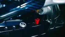 Apollo EVO (2026) Caribbean Dragon