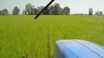Società semplice agricola: chi risponde per la sicurezza?