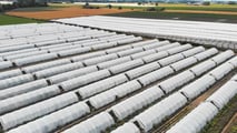 Ortofrutta: 19 miliardi e Italia seconda in Ue