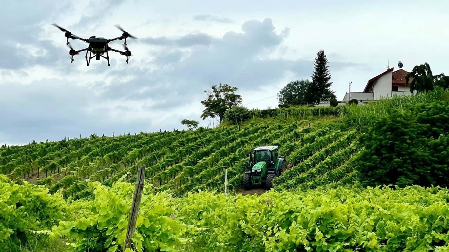 Bando MASAF vigneti: contributi fino all’80% su droni