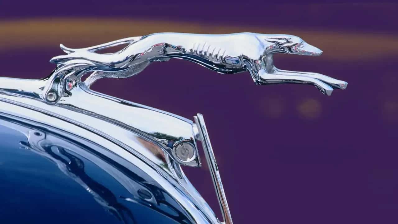 what-happened-to-hood-ornaments