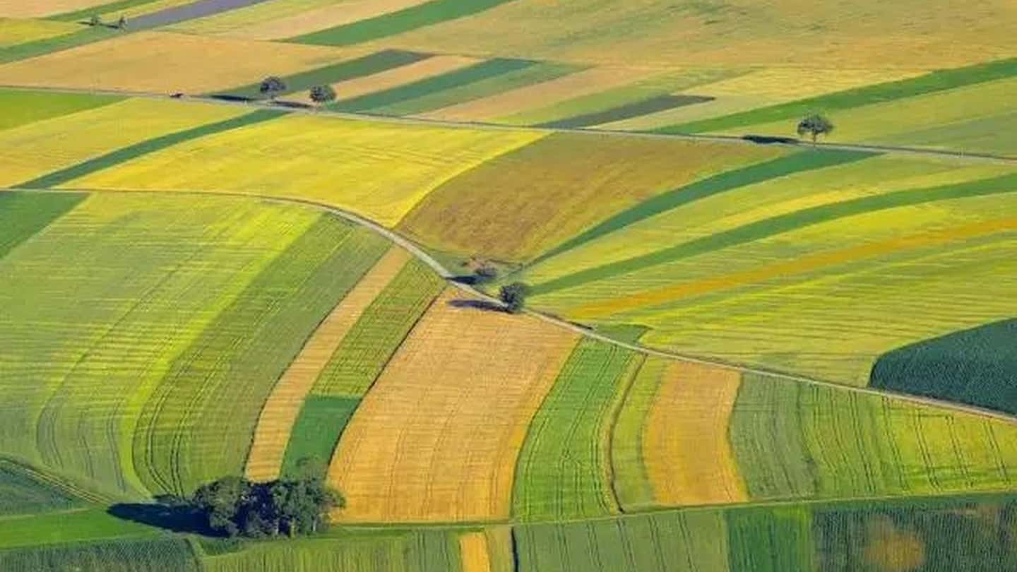 Comprare terreni agricoli all’asta 2026 per CD e IAP