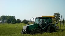  contenere riso crodo e graminacee resistenti in risaia, combinando Provisia, falsa semina, rotazioni colturali e controllo meccanico mirato