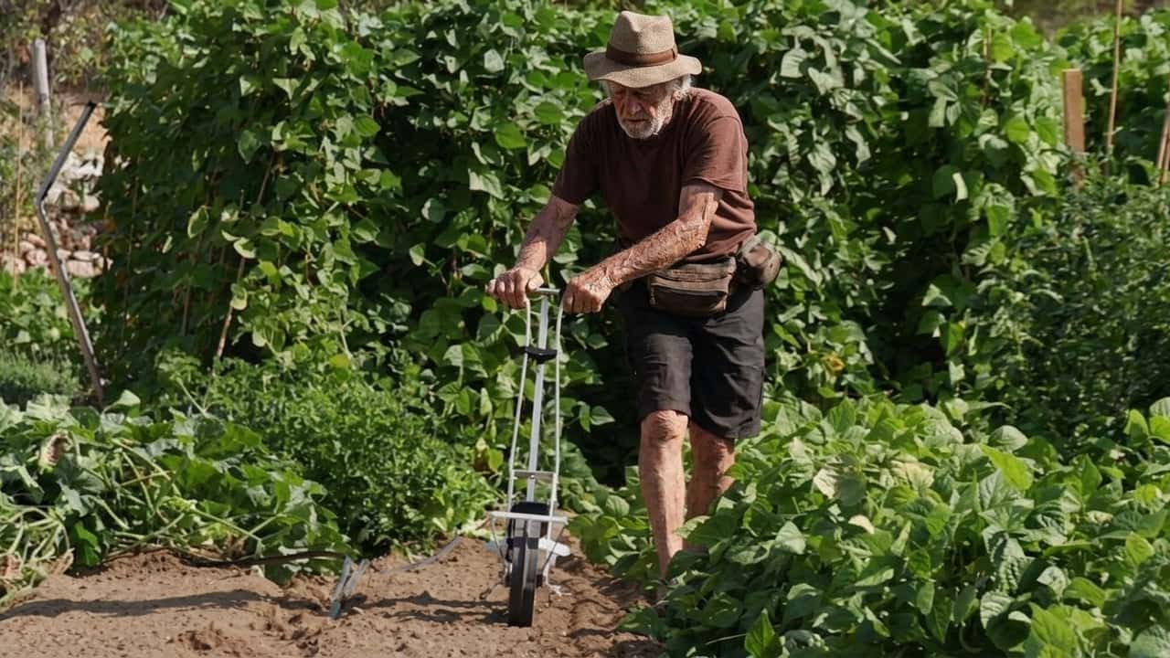 ha-rifiutato-700-000-per-il-suo-terreno-il-motivo