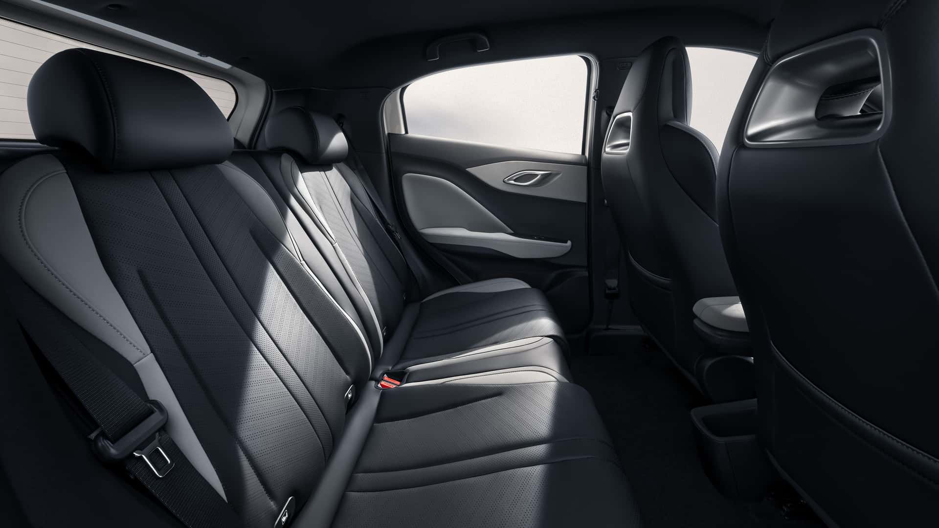 byd-dolphin-surf.jpg