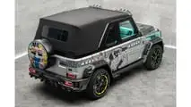 Mansory - Art Piece - AL3C MONO907Y