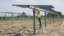 Bobcat in campo nel Delta del Po: i mezzi protagonisti di un maxi impianto agro-fotovoltaico a Loreo