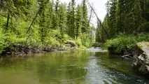 Stark Varg and Two Fly Rods