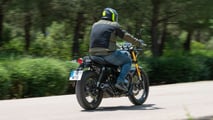 Urso Real Enfield 650 (2025)