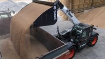 Bobcat: tutte le novità del 2022