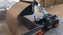 Bobcat: tutte le novità del 2022