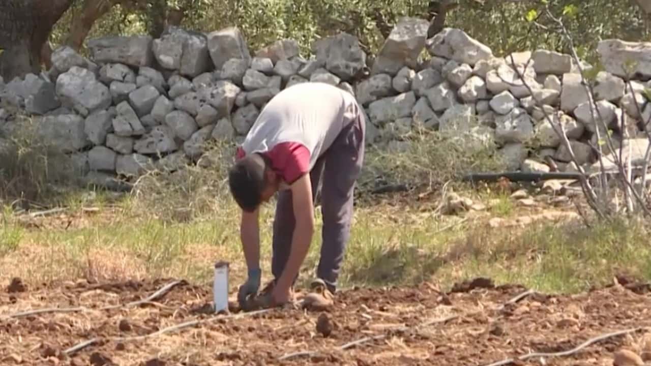 Caporalato in agricoltura: al via il tavolo ministeriale
