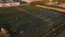 Fotovoltaico agricolo: nuove regole fiscali dal 2026