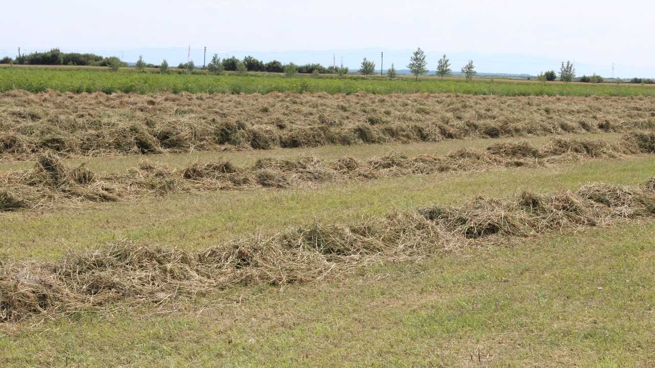 Prelazione terreno agricolo
