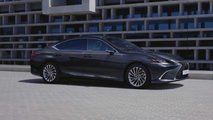 2022 Lexus ES (Avrupa)