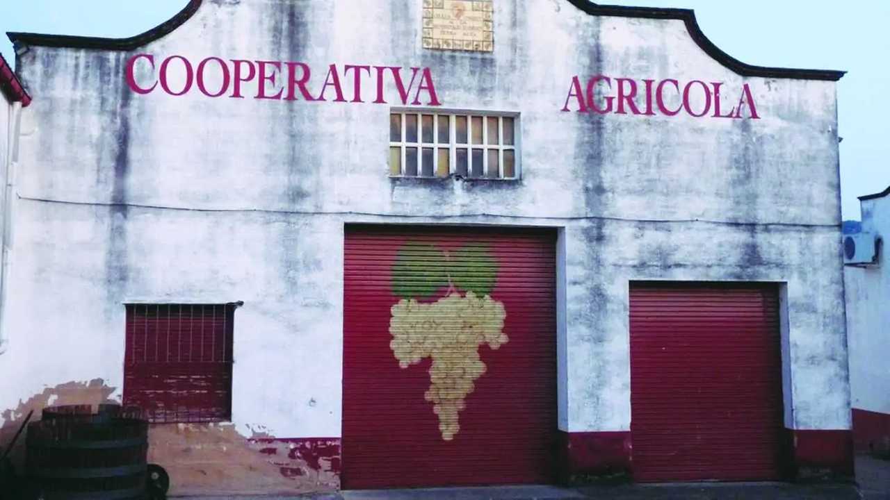 Da cooperativa commerciale ad agricola: si può fare?
