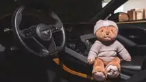 Bentley bears