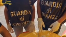 Approvata dalla Camera la legge sulla tutela prodotti agroalimentari: introdotti i reati di frode alimentare e commercio con segni mendaci