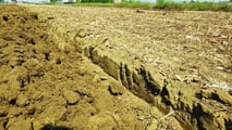 Terreni agricoli che diventano edificabili: cosa succede all’IMU?