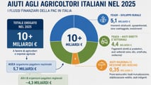 Aiuti agricoltura 2025: 10 miliardi agli agricoltori