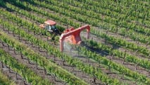 Come calcolare il rame in vigneto con la media 7 anni?
