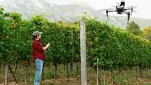Il Consiglio UE apre all'irrorazione con drone dei fitofarmaci: ecco cosa prevede il Pacchetto Omnibus X e cosa cambia per gli agricoltori italian