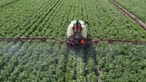 Quali irroratrici scegliere nel 2026 per trattare la patata?