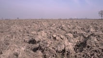 Grano duro e agricoltura conservativa: attrezzature chiave
