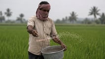 India, austerity energetica: impatto su carburanti e fertilizzanti