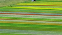 Legge orientamento 2001: agriturismo, energia e vendite dirette. Attività connesse da 6,3 a 15 miliardi, 380mila aziende multifunzionali in Italia