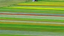 Legge orientamento 2001: agriturismo, energia e vendite dirette. Attività connesse da 6,3 a 15 miliardi, 380mila aziende multifunzionali in Italia