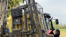  Elumis Syngenta per il Mais: Controllo Infestanti in Post-Emergenza