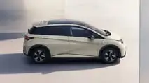 BYD Dolphin 8