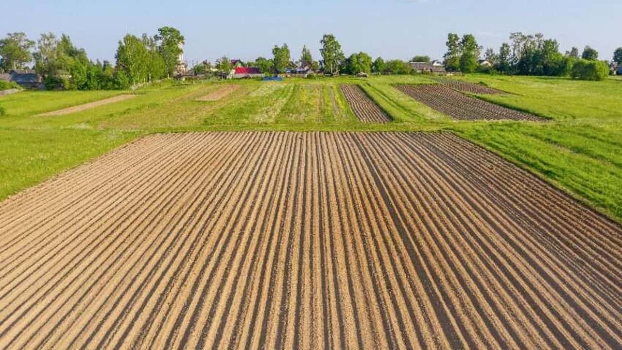 Partite IVA in agricoltura: in calo nel 2024