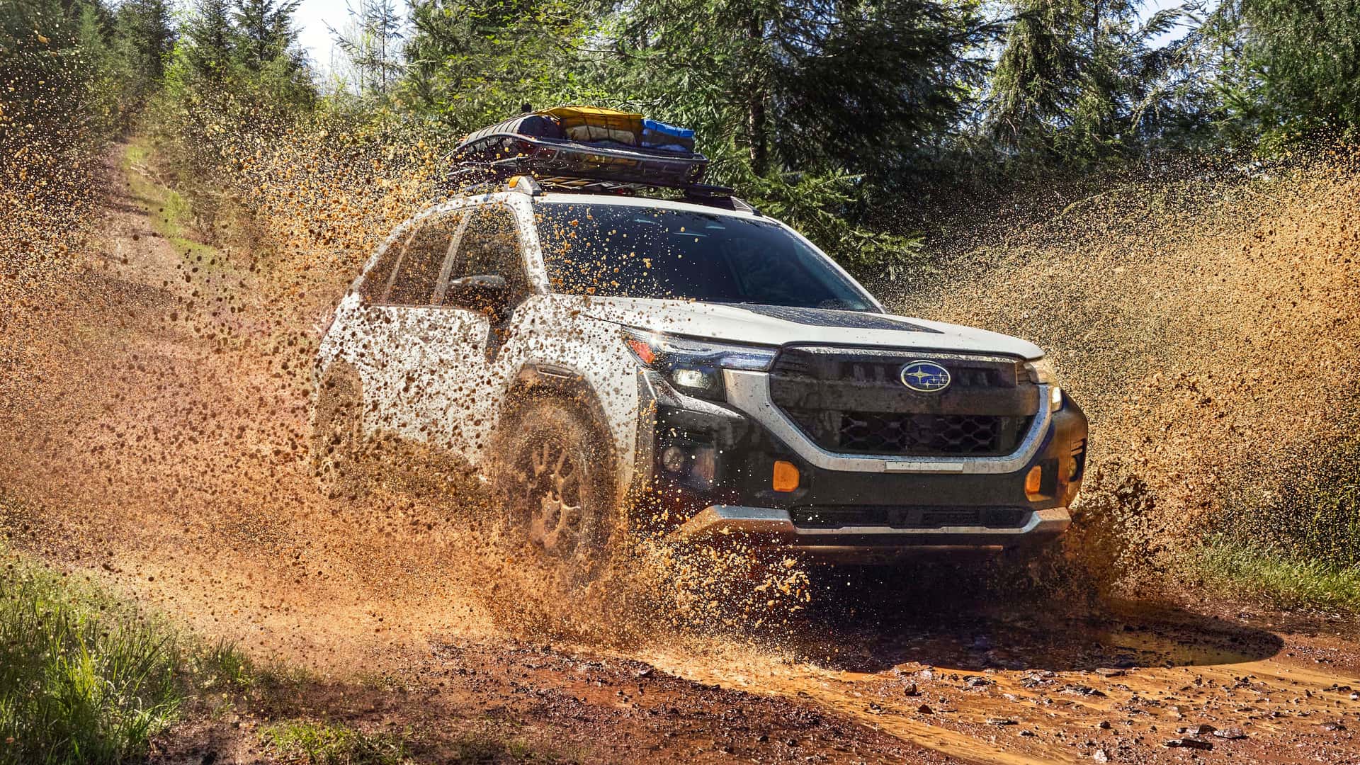 https://cdn.motor1.com/images/mgl/W8Ypq6/s1/2025-subaru-forester-wilderness.jpg