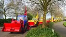 JCB celebra un milione di terne