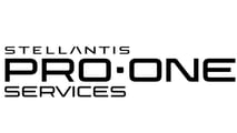 Pro One Services Logo 2026