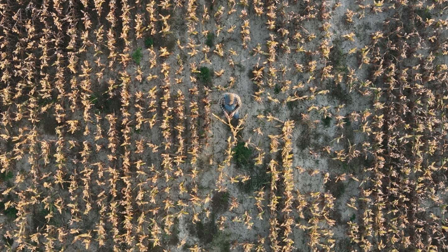 Agricat bloccata e indennizzi a rischio per le aziende agricole
