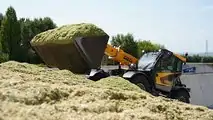 Sollevatore telescopico Agri Max Power X2
