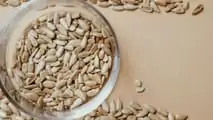 Foto - Riso: crollo del prezzo e rischio speculazione