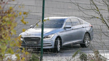 2014 Hyundai Genesis spy photo 11.11.2013