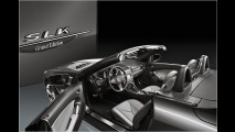 Besondere Roadster
