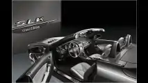 Besondere Roadster