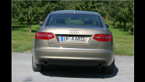 A6: Frisch gemacht