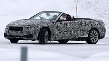 2014 BMW 4-Series Convertible 19.3.2013