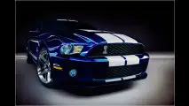 Mehr Muskeln für Mustang