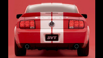 Entfesselter Mustang